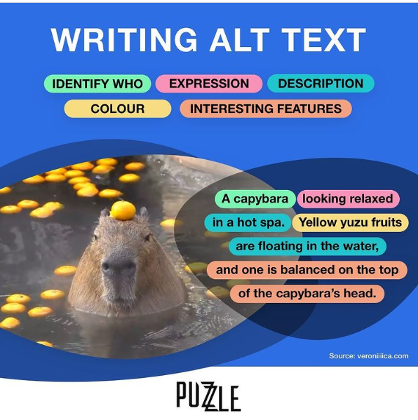 Image description: An infographic titled “How To Write Alt Text” featuring a photo of a capybara on a blue background. Parts of commonly requested alt text are listed and divided by color, reading ‘identify who, expression, description, colour, and interesting features’. The description reads ‘A capybara looking relaxed in a hot spa. Yellow yuzu fruits are floating in the water, and one is balanced on the top of the capybara’s head’, with segments of the phrase in corresponding colors to the types of information listed above. In the bottom right corner, text reads Source: veroniiiica dot com with 4 i’s, and a logo is present at the bottom center that reads ‘puzzle’ with overlapping z’s”